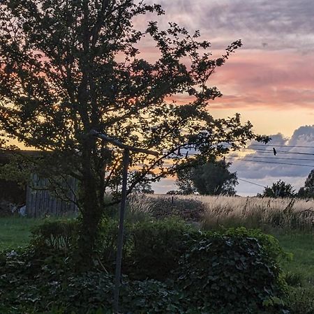 Under Valnodden Bed and Breakfast Stubbekøbing Εξωτερικό φωτογραφία