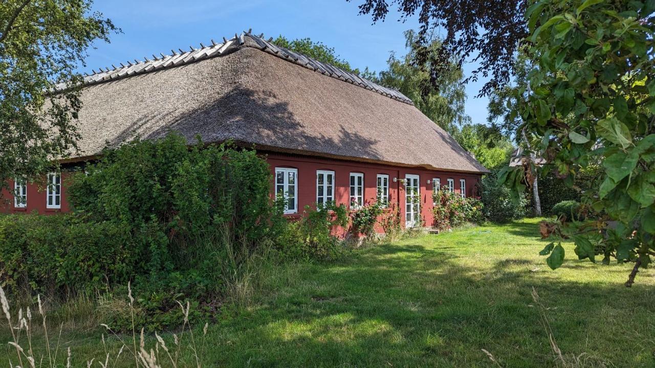 Under Valnodden Bed and Breakfast Stubbekøbing Εξωτερικό φωτογραφία