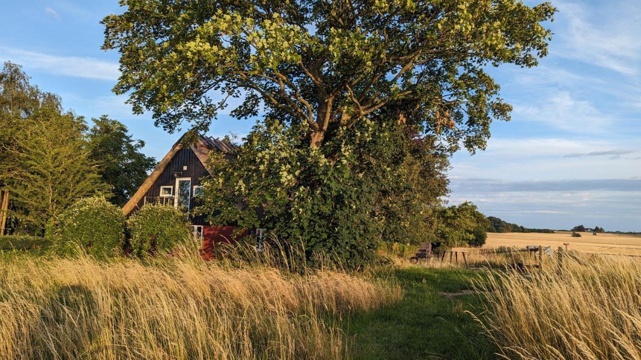 Under Valnodden Bed and Breakfast Stubbekøbing Εξωτερικό φωτογραφία