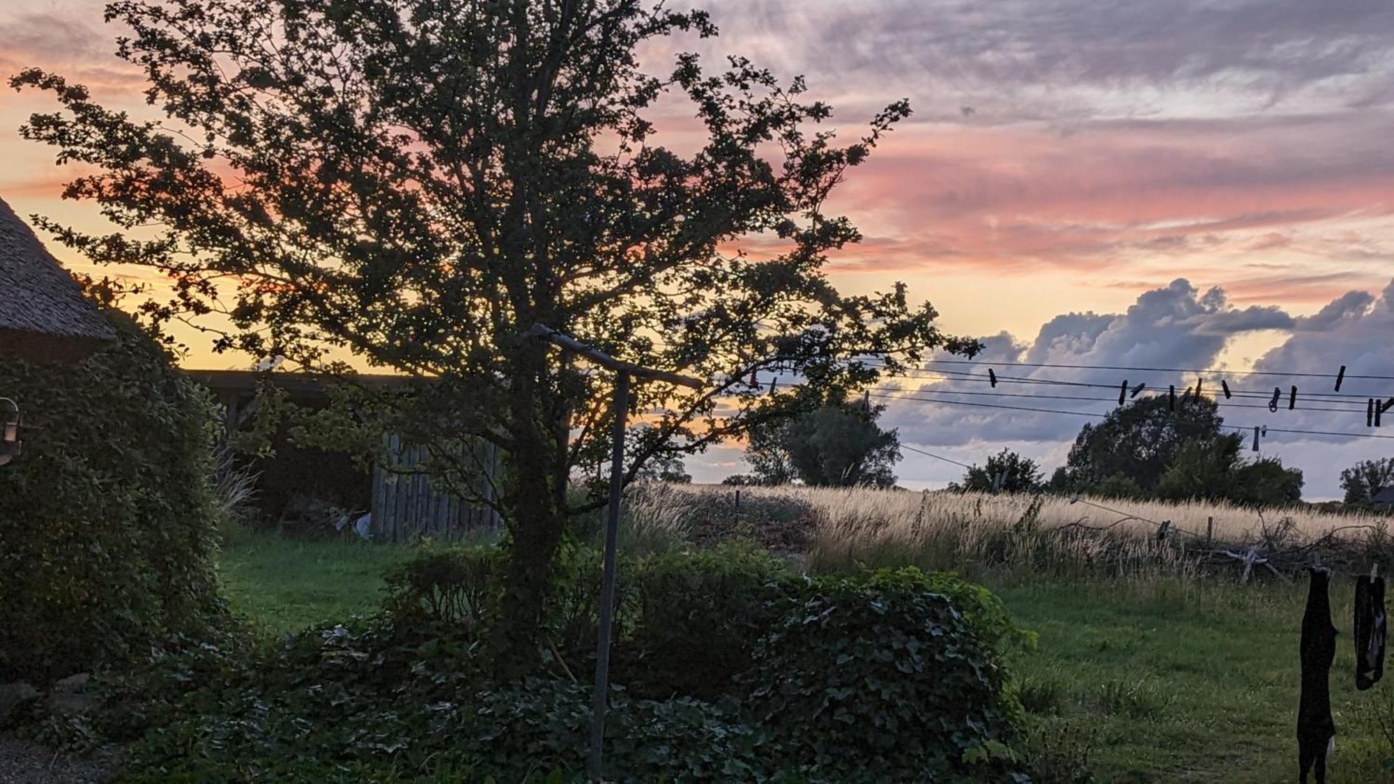 Under Valnodden Bed and Breakfast Stubbekøbing Εξωτερικό φωτογραφία